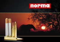 Norma 6,5x55 Golden Target HP 8,4 gr